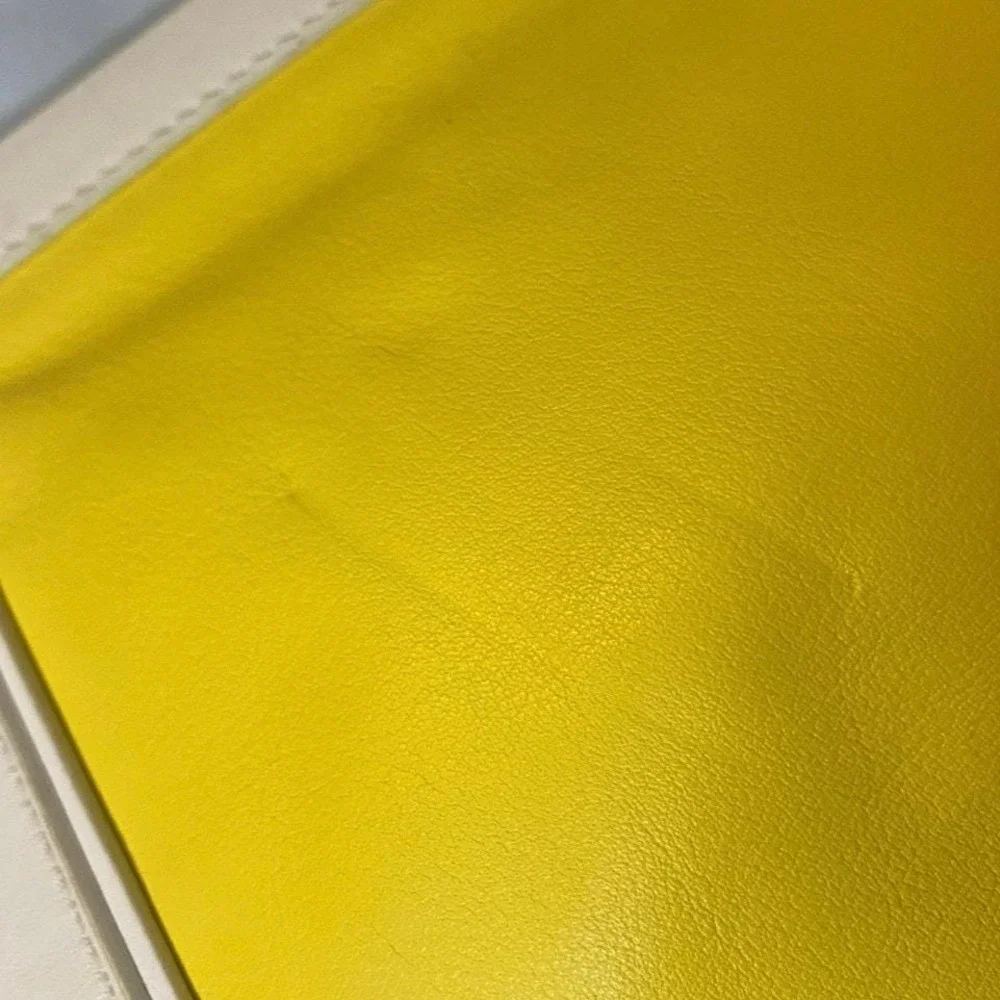 Kate‎ Spade Tria Hudson Street Limonium Clutch